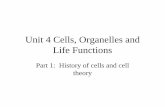 Unit 4 Cells, Organelles and Life Functions