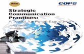 Strategic Communication Practices