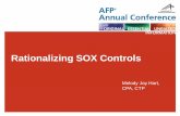 Rationalizing SOX Controls