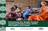 Financing the Sindh Costed Implementation Plan (CIP ...