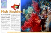 Text by Michael Symes Fish Fashion