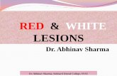 RED & WHITE LESIONS