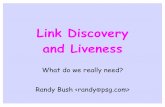 Link Discovery and Liveness