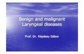 Benign and malignant Laryngeal diseases
