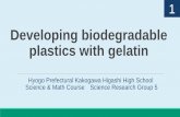 Developing biodegradable plastics with gelatin