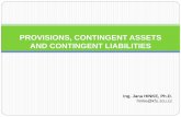 PROVISIONS, CONTINGENT ASSETS AND CONTINGENT LIABILITIES