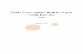 CAFE: Computational Analysis of gene Family Evolution