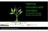Bioactive Powerpoint Microbes fighting microbes [Read-Only]