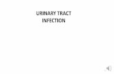 URINARY TRACT INFECTION - humsc.net