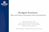 Budget Analysis - Teton County Extension