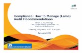 Compliance: How to Manage (Lame) Audit Recommendations
