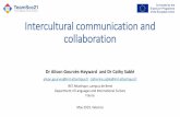 Intercultural communication and collaboration