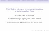 Quantitative estimates for advective equations with ...