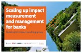Scaling up impact measurement and management for banks