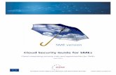 Cloud Security Guide for SMEs