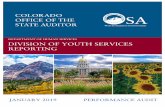 Division of Youth Services Reporting