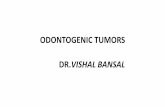 ODONTOGENIC TUMORS DR.VISHAL BANSAL