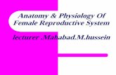 Anatomy & Physiology Of Female Reproductive System