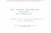 The Aquatic Invertebrate Database for Minnesota