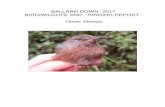 BALLARD DOWN 2017 BIRD/WILDLIFE AND RINGING REPORT …