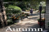 Autumn - Tucson Botanical