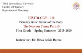 HISTOLOGY 110 Primary Basic Tissues of the Body The ...