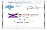 Histology of Nervous System - medicinebau.com