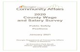 2020 County Wage and Salary Survey - Georgia