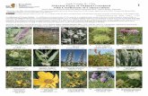 Cook County, IL, USA 1 Selected Flora of Orland Grassland ...
