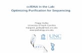 ccfDNA In the Lab: Optimizing Purification for Sequencing