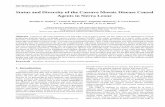 Status and Diversity of the Cassava Mosaic Disease Causal ...