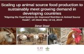 Scaling up animal source food production to sustainably ...