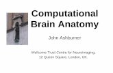 Computational Brain Anatomy - University College London