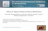 Effects of Algae Feeding on Mouse Metabolome