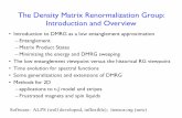 The Density Matrix Renormalization Group: Introduction and ...