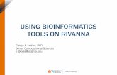 USING BIOINFORMATICS TOOLS ON RIVANNA