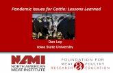 Pandemic Issues for Cattle: Lessons Learned