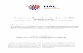 Computational thermal hydraulic schemes for SFR transient ...