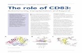 Health & Medicine Alexander Steinkasserer The role of CD83
