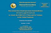 Pan-coronavirus Broad-spectrum Nanomedicines NV-CoV-2 and ...
