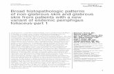 Broad histopathologic patterns of non-glabrous skin and ...