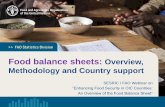 Food balance sheets: Overview, Methodology and Country support