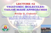 LECTURE #2 TRIATOMIC MOLECULES: TAILOR-MADE APPROACHES …