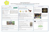 Home Learning Year 2 - Herne Bay Infant School and ...
