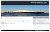 Minderella - Super yachts