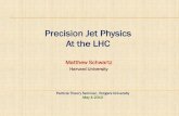 Precision Jet Physics At the LHC