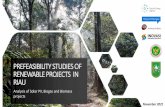 PREFEASIBILITY STUDIES OF RENEWABLE PROJECTS IN RIAU