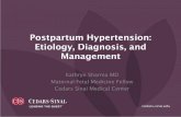 Postpartum Hypertension: Etiology, Diagnosis, and Management