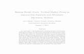 Raising Rivals’ Costs: Vertical Market Power in Natural ...