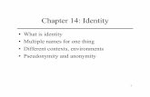Chapter 14: Identity - University of Alabama in Huntsville